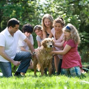 Animaux de compagnie familiale