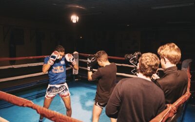 formes de boxe