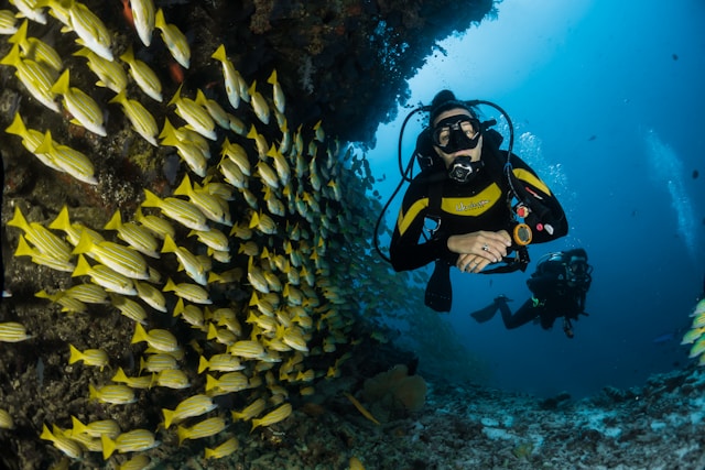 Plongée sous-marine